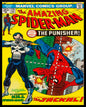 SPIDER MAN PUNSIHER 24 x 30