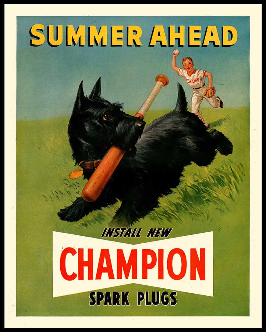 CHAMPION SUMMER 24 x 30