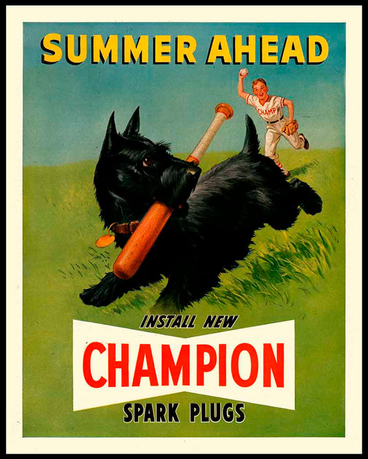 CHAMPION SUMMER 24 x 30