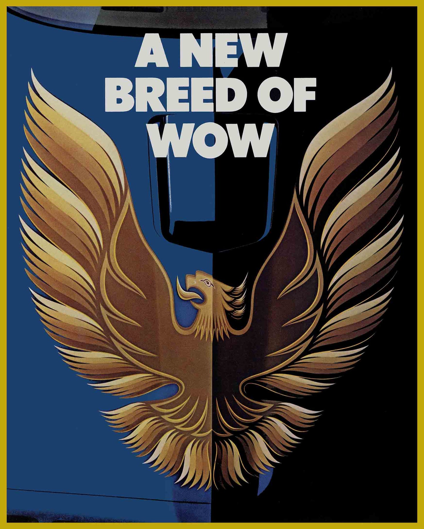 ZULU 1979 TRANS AM GOLD 24 x 30