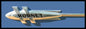 HUSDON HORNET EMBLEM 36 x 12