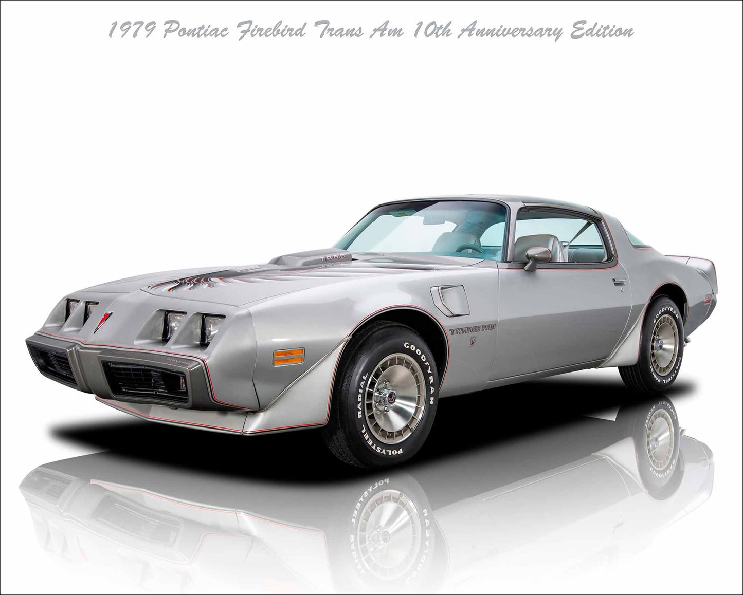 1979 PONTIAC FIREBIRD TRANS AM 30 x 24