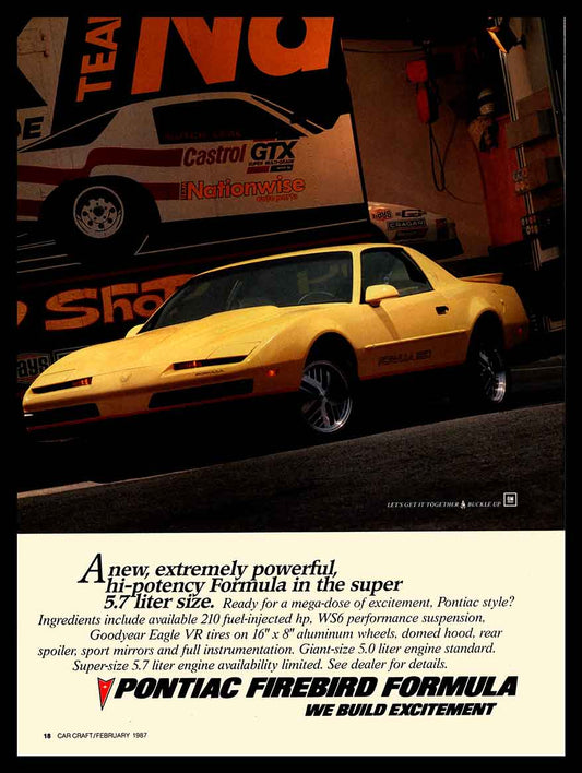 1987 PONTIAC FIREBIRD FORMULA 12 x 16