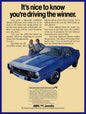 ECHO 1973 JAVELIN 1 BLUE 12 x 16