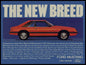 ZULU 1979 MUSTANG BLACK 16 x 12