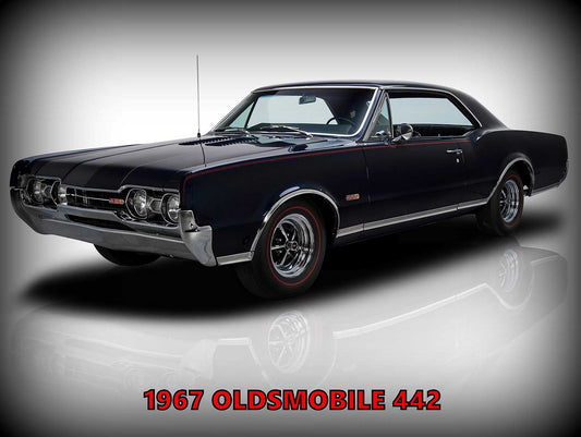 1967 442 FOUR TO THREE 24 x 18