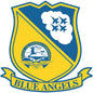 Blue Angel Logo 18 X 18