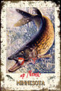 Mn Pike 24 X 36