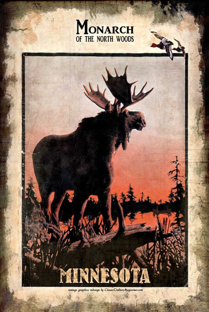 Mn Monarch Moose 24 X 36