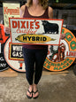 Dixie Hybrid