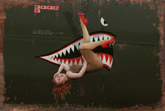 P-40 Warhawk 39 X 58