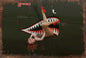 P-40 Warhawk 39 X 58