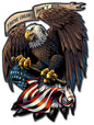 Eagle Holding Flag 17 x 12
