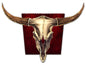 Steer Skull 27 x 20