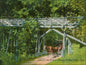 Longest Widest Bridge 16 X 12