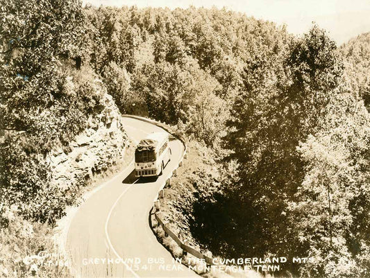 Greyhound Bus Cumberland Mts 16 X 12