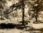 Monteagle Hotel Grounds 16 X 12
