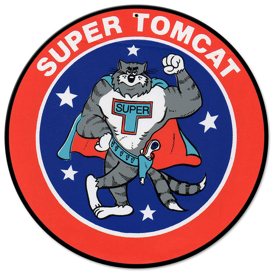 F-14 Super Tomcat 14 X 14