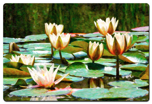 Water Lillies A La Monet 24 x 24