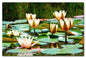 Water Lillies A La Monet 24 x 16