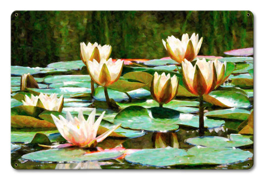 Waterlillies A La Monet 18 x 12