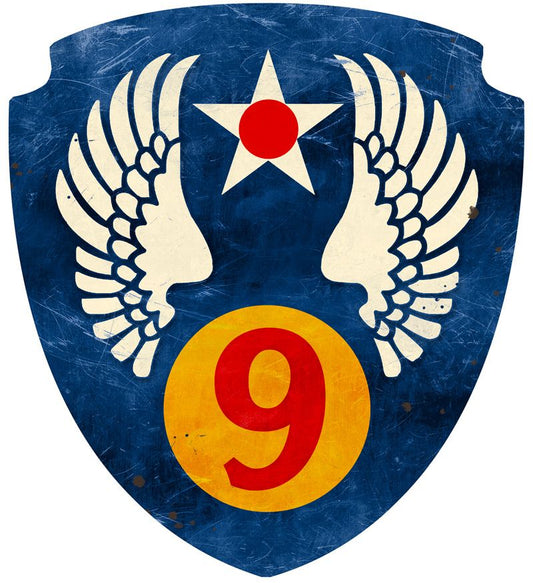 Ninth Air Force 16 X 16