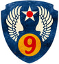 Ninth Air Force 16 X 16