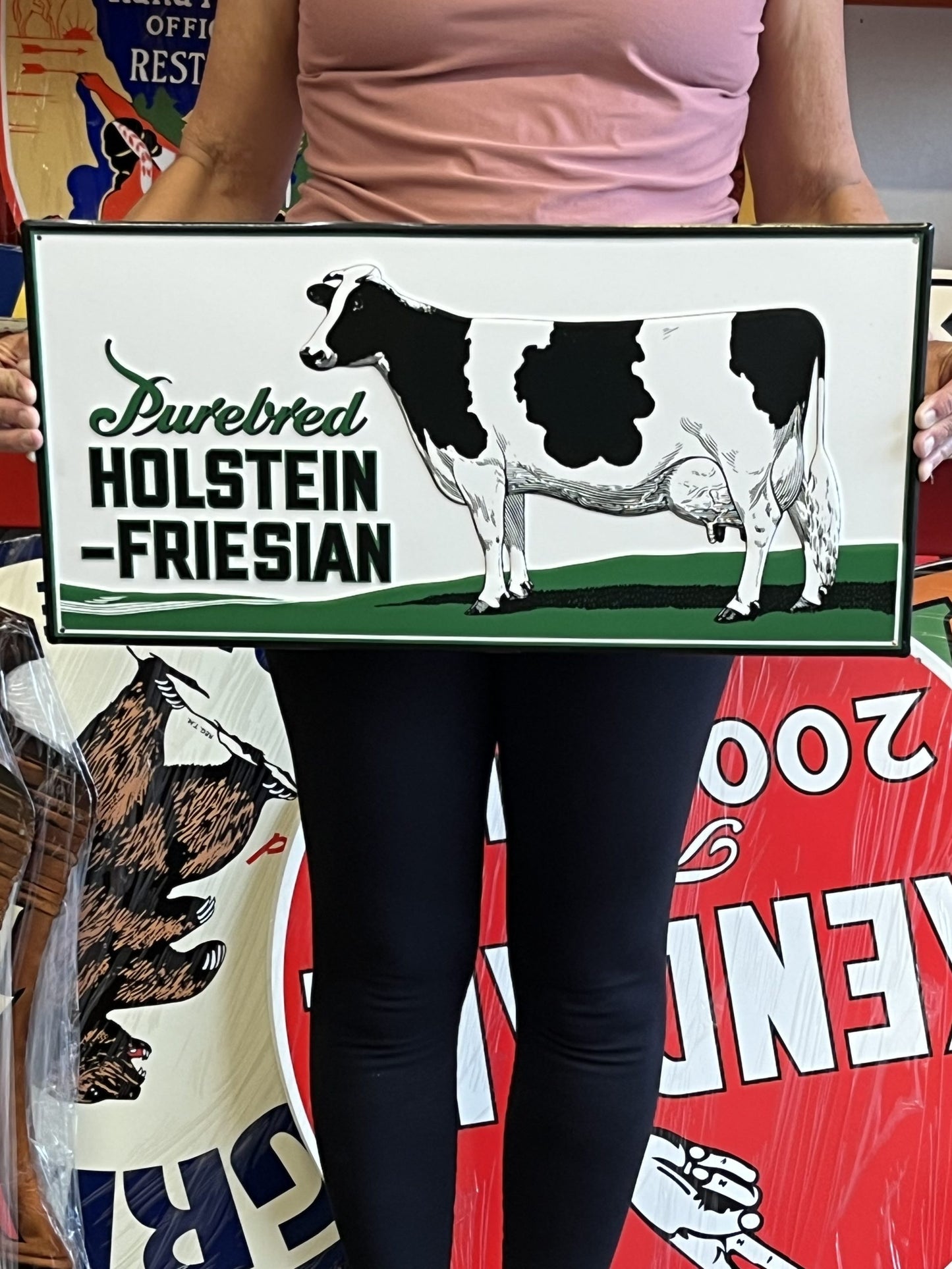 Holstein Cows