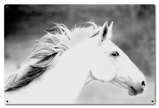 Mane In The Wind 24 x 16