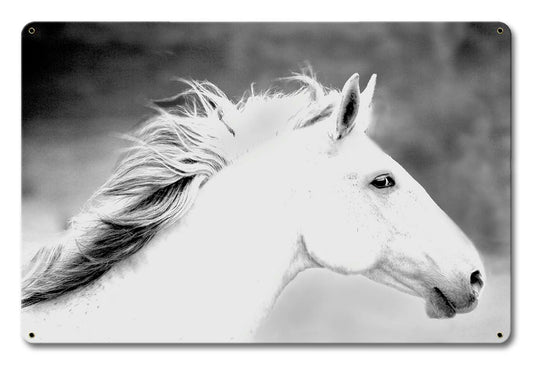Mane In The Wind 18 x 12