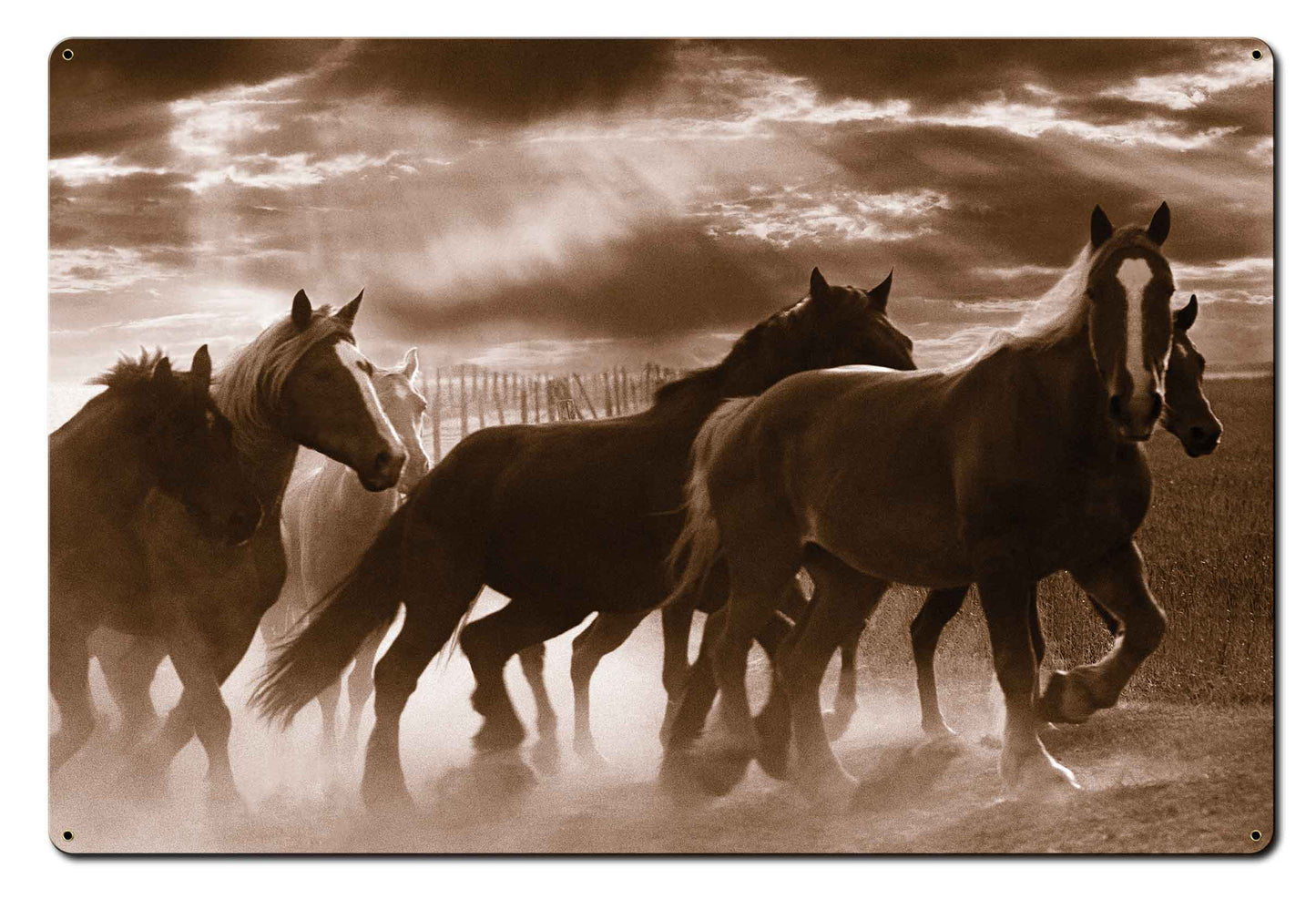 Running Horses 36 x 24