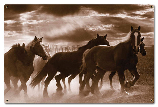 Running Horses 24 x 16