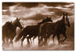 Running Horses 24 x 16