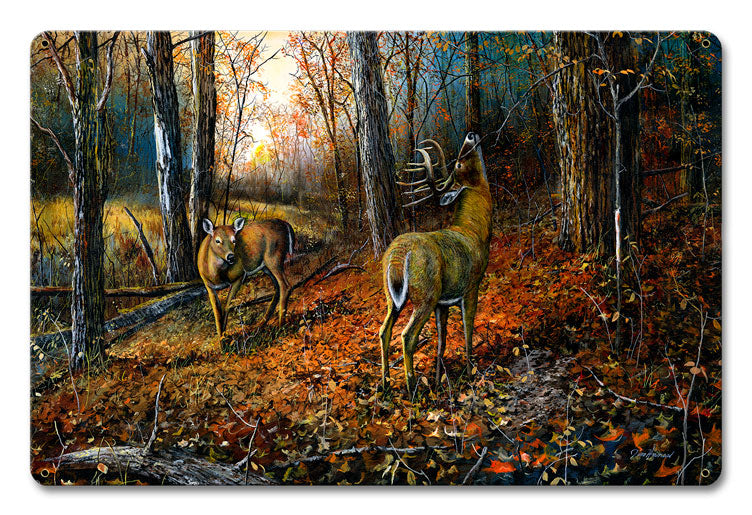 Autumn 12 X 18