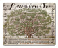 Lessons From A Tree 15 x 12