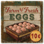 Farm Fresh Eggs 12 x 12