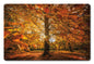 Autumn Scene 12 x 18