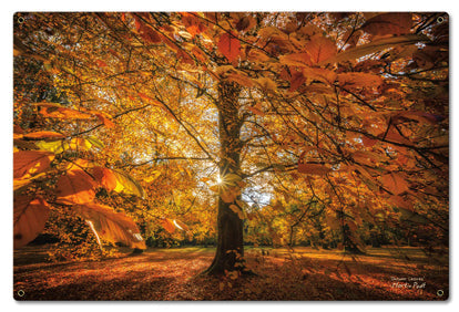 Autumn Scene2 16 x 24