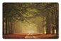 Walk In The Woods 18 x 12