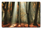Light Through The Trees 18 x 12