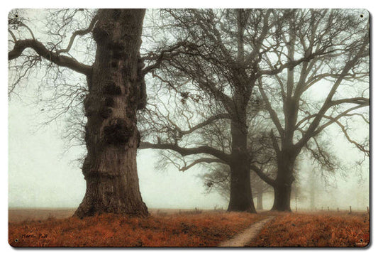 Trees In The Fog 24 x 16