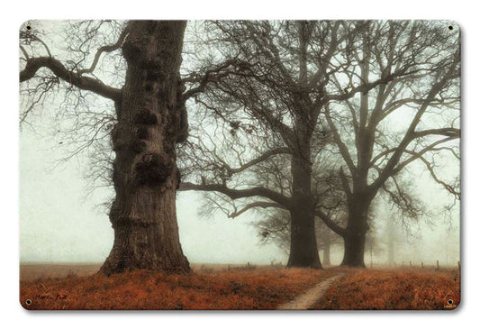 Trees In The Fog 18 x 12
