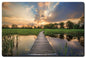 Path and Pond 24 x 16