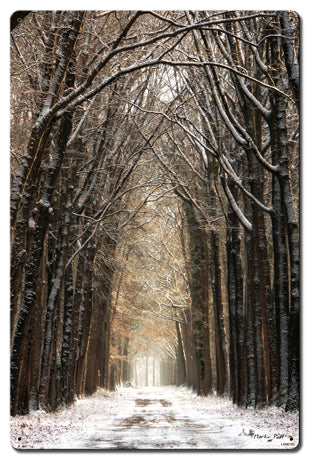 Path In The Snow 16 x 24