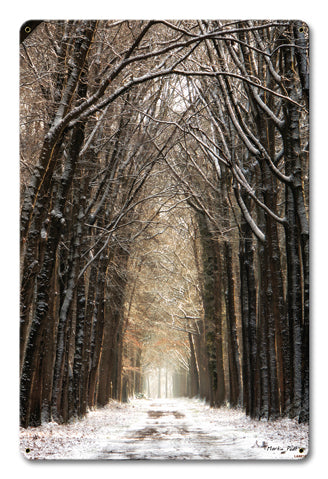 Path in the Snow 12 x 18