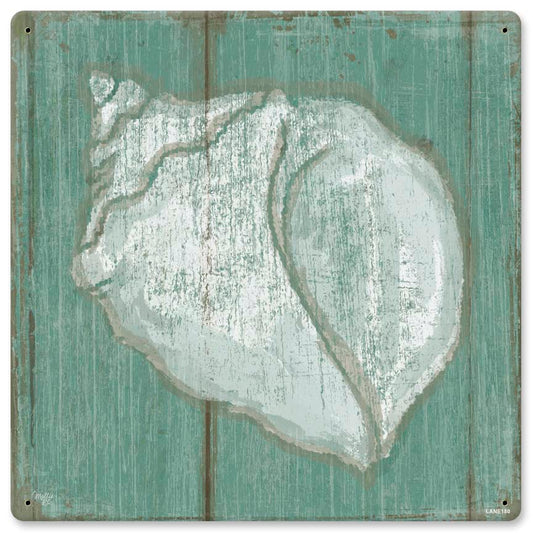 Seashell 12 x 12