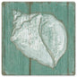 Seashell 12 x 12