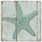 Starfish 12 x 12