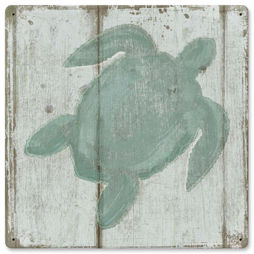 Turtles 12 x 12
