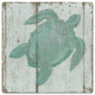 Turtles 12 x 12